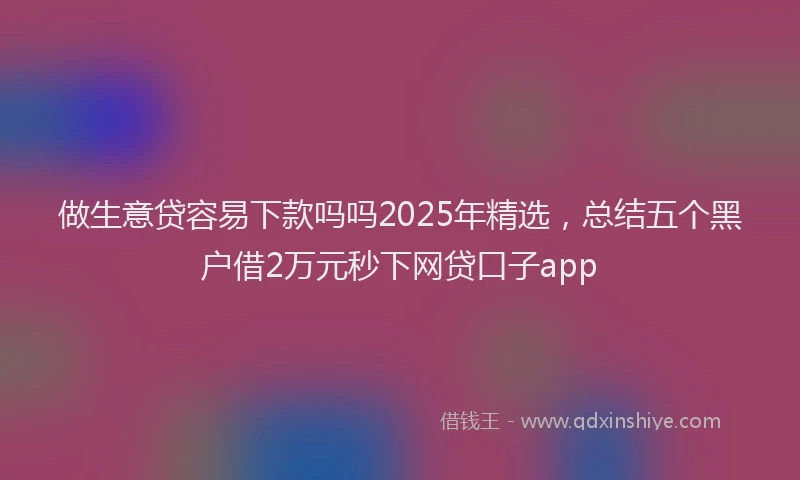 做生意贷容易下款吗吗2025年精选，总结五个黑户借2万元秒下网贷口子app