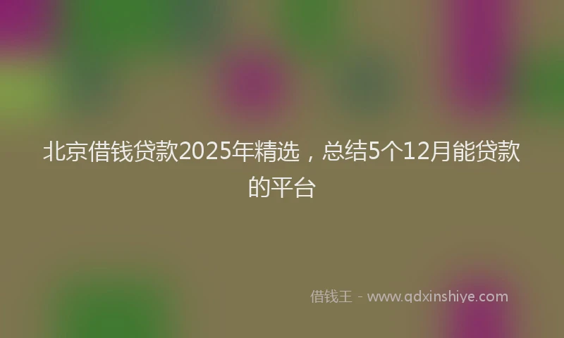 北京借钱贷款2025年精选，总结5个12月能贷款的平台
