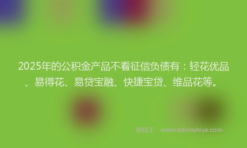 2025年的公积金产品不看征信负债有：轻花优品、易得花、易贷宝融、快捷宝贷、维品花等。