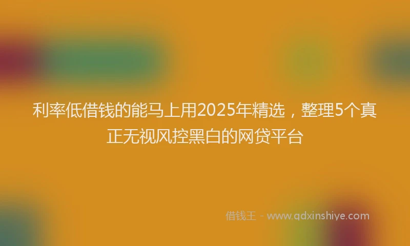 利率低借钱的能马上用2025年精选，整理5个真正无视风控黑白的网贷平台