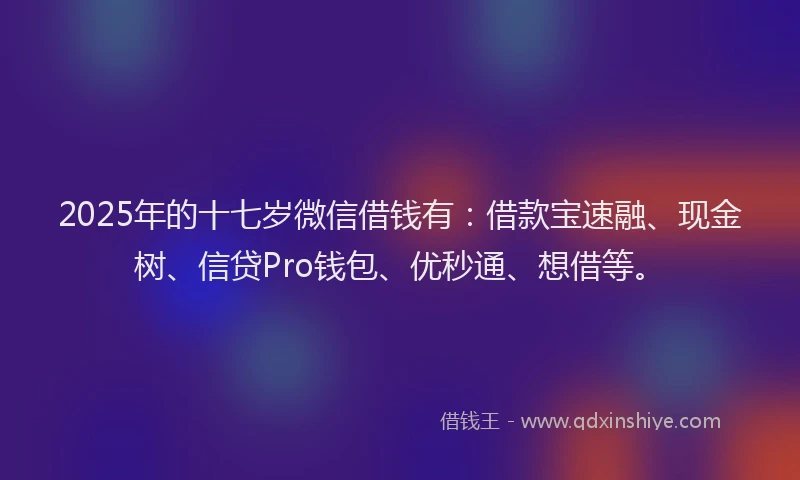 2025年的十七岁微信借钱有：借款宝速融、现金树、信贷Pro钱包、优秒通、想借等。