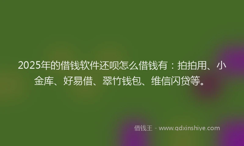 2025年的借钱软件还呗怎么借钱有：拍拍用、小金库、好易借、翠竹钱包、维信闪贷等。
