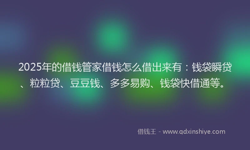 2025年的借钱管家借钱怎么借出来有：钱袋瞬贷、粒粒贷、豆豆钱、多多易购、钱袋快借通等。