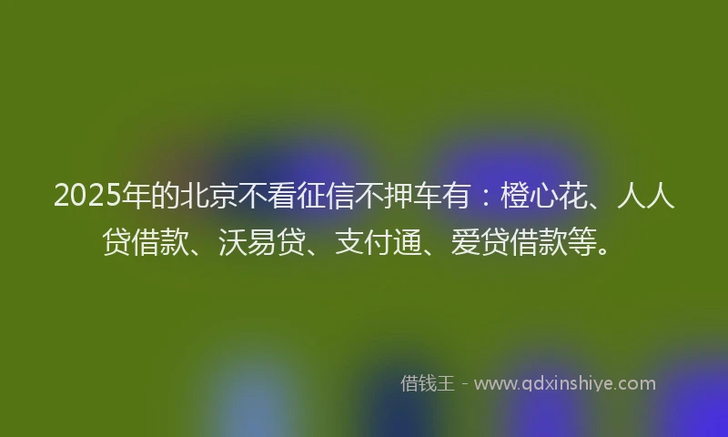 2025年的北京不看征信不押车有：橙心花、人人贷借款、沃易贷、支付通、爱贷借款等。