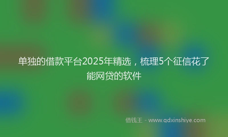 单独的借款平台2025年精选，梳理5个征信花了能网贷的软件