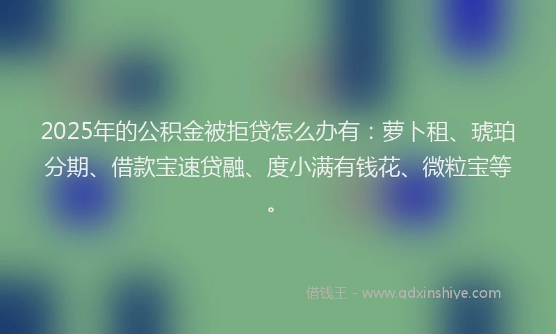 2025年的公积金被拒贷怎么办有：萝卜租、琥珀分期、借款宝速贷融、度小满有钱花、微粒宝等。