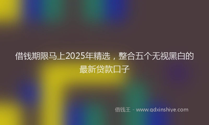 借钱期限马上2025年精选，整合五个无视黑白的最新贷款口子