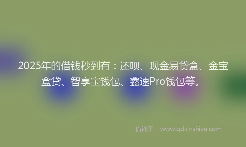 2025年的借钱秒到有：还呗、现金易贷盒、金宝盒贷、智享宝钱包、鑫速Pro钱包等。
