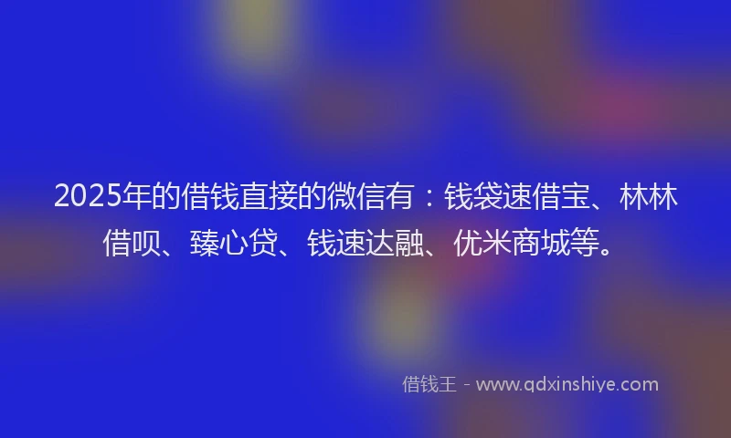 2025年的借钱直接的微信有：钱袋速借宝、林林借呗、臻心贷、钱速达融、优米商城等。