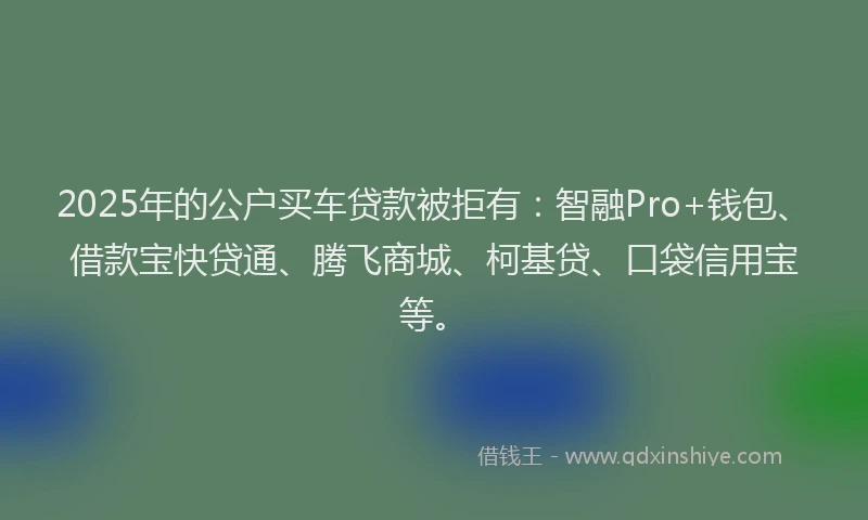 2025年的公户买车贷款被拒有：智融Pro+钱包、借款宝快贷通、腾飞商城、柯基贷、口袋信用宝等。