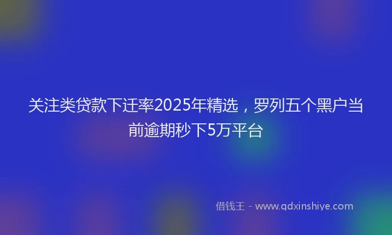 关注类贷款下迁率2025年精选，罗列五个黑户当前逾期秒下5万平台
