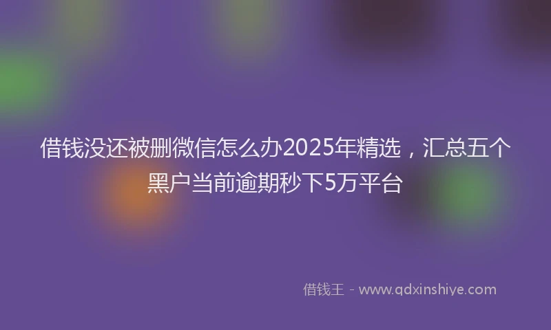 借钱没还被删微信怎么办2025年精选，汇总五个黑户当前逾期秒下5万平台