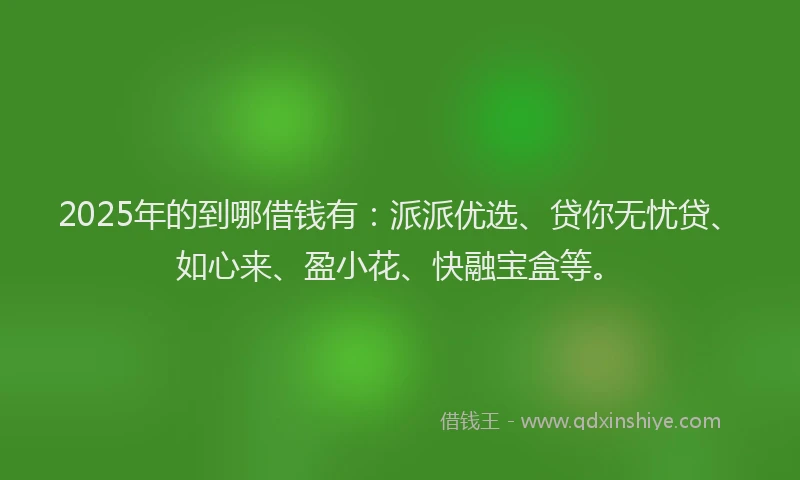 2025年的到哪借钱有：派派优选、贷你无忧贷、如心来、盈小花、快融宝盒等。