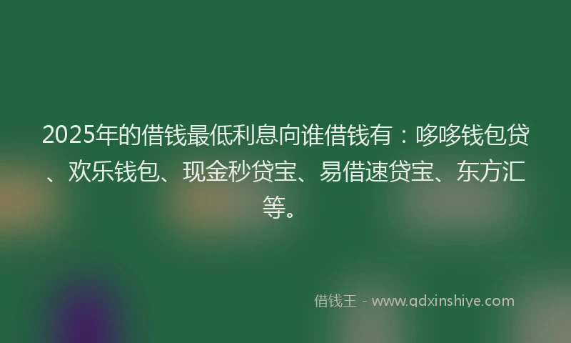 2025年的借钱最低利息向谁借钱有：哆哆钱包贷、欢乐钱包、现金秒贷宝、易借速贷宝、东方汇等。