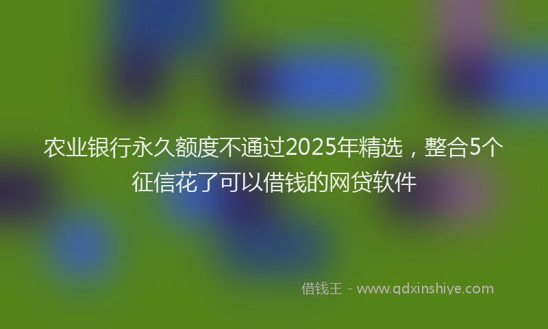 农业银行永久额度不通过2025年精选，整合5个征信花了可以借钱的网贷软件
