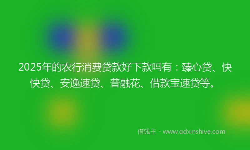 2025年的农行消费贷款好下款吗有：臻心贷、快快贷、安逸速贷、普融花、借款宝速贷等。
