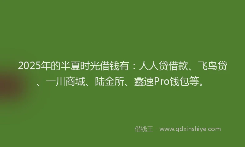 2025年的半夏时光借钱有：人人贷借款、飞鸟贷、一川商城、陆金所、鑫速Pro钱包等。