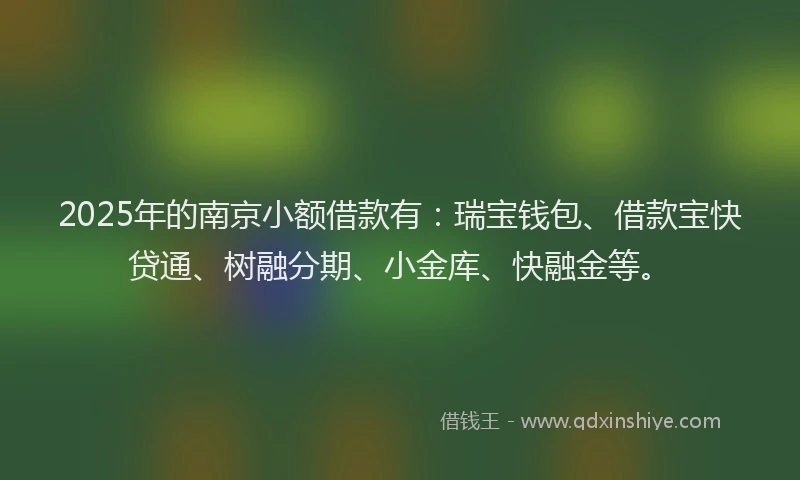2025年的南京小额借款有：瑞宝钱包、借款宝快贷通、树融分期、小金库、快融金等。