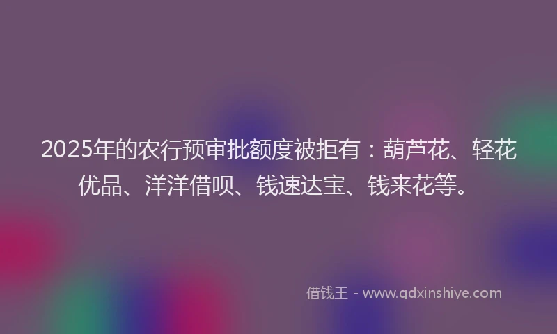 2025年的农行预审批额度被拒有：葫芦花、轻花优品、洋洋借呗、钱速达宝、钱来花等。