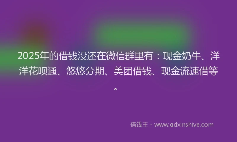 2025年的借钱没还在微信群里有：现金奶牛、洋洋花呗通、悠悠分期、美团借钱、现金流速借等。