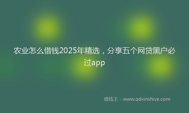 农业怎么借钱2025年精选，分享五个网贷黑户必过app