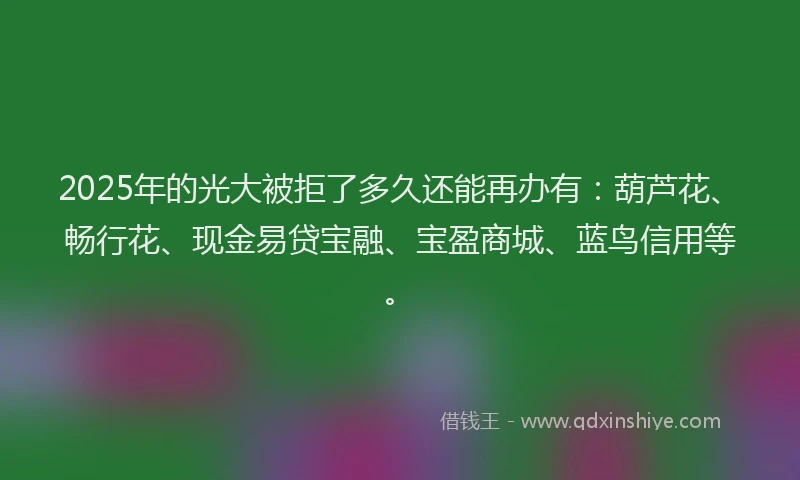 2025年的光大被拒了多久还能再办有：葫芦花、畅行花、现金易贷宝融、宝盈商城、蓝鸟信用等。