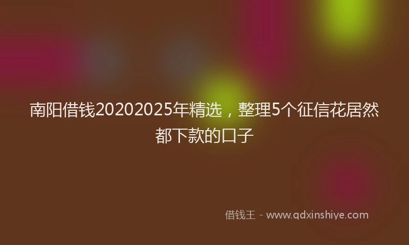 南阳借钱20202025年精选，整理5个征信花居然都下款的口子