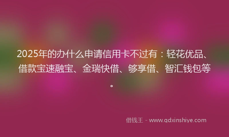 2025年的办什么申请信用卡不过有：轻花优品、借款宝速融宝、金瑞快借、够享借、智汇钱包等。