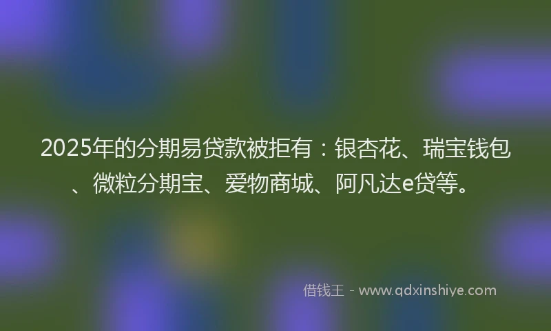 2025年的分期易贷款被拒有：银杏花、瑞宝钱包、微粒分期宝、爱物商城、阿凡达e贷等。