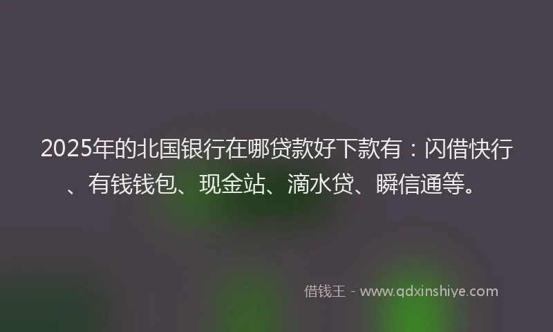 2025年的北国银行在哪贷款好下款有：闪借快行、有钱钱包、现金站、滴水贷、瞬信通等。