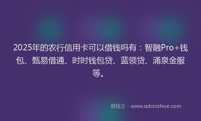 2025年的农行信用卡可以借钱吗有：智融Pro+钱包、甄易借通、时时钱包贷、蓝领贷、涌泉金服等。