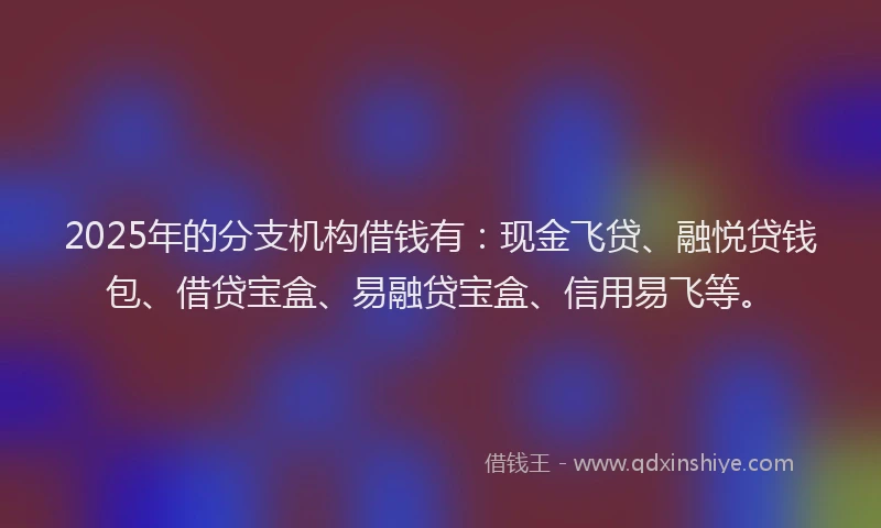 2025年的分支机构借钱有：现金飞贷、融悦贷钱包、借贷宝盒、易融贷宝盒、信用易飞等。