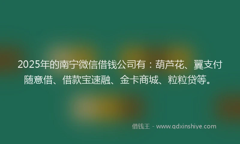 2025年的南宁微信借钱公司有：葫芦花、翼支付随意借、借款宝速融、金卡商城、粒粒贷等。