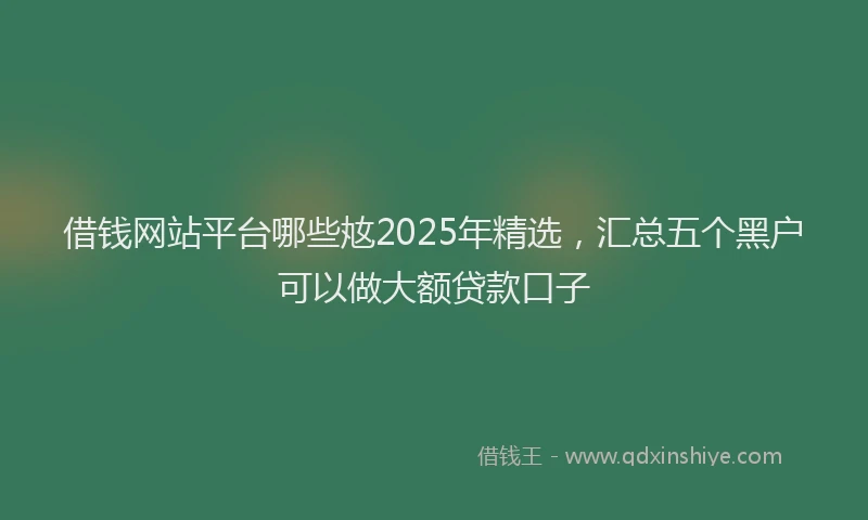 借钱网站平台哪些奿2025年精选，汇总五个黑户可以做大额贷款口子