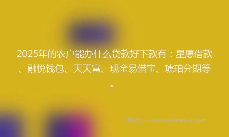 2025年的农户能办什么贷款好下款有：星愿借款、融悦钱包、天天富、现金易借宝、琥珀分期等。