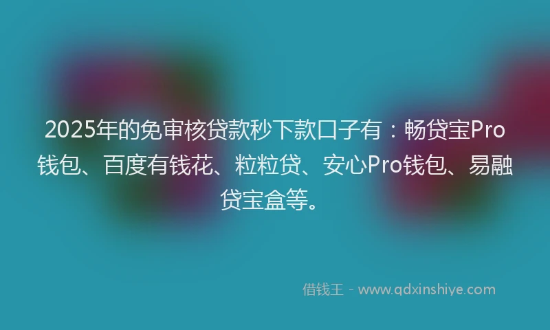 2025年的免审核贷款秒下款口子有：畅贷宝Pro钱包、百度有钱花、粒粒贷、安心Pro钱包、易融贷宝盒等。