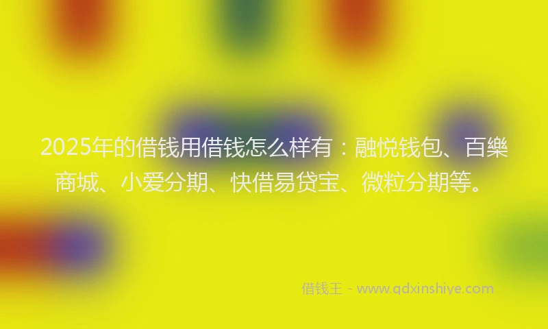 2025年的借钱用借钱怎么样有：融悦钱包、百樂商城、小爱分期、快借易贷宝、微粒分期等。