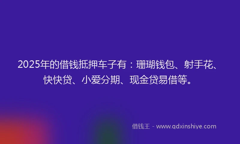 2025年的借钱抵押车子有：珊瑚钱包、射手花、快快贷、小爱分期、现金贷易借等。