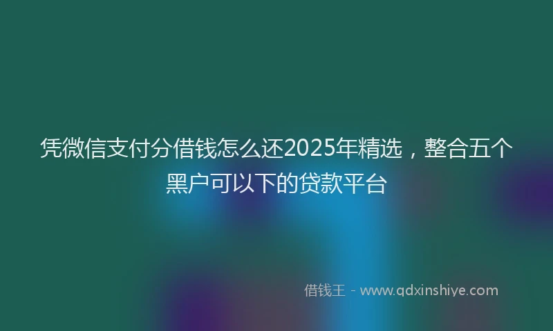 凭微信支付分借钱怎么还2025年精选，整合五个黑户可以下的贷款平台