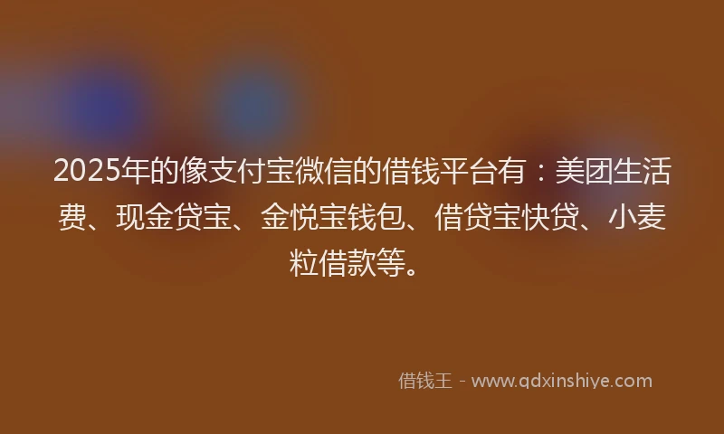 2025年的像支付宝微信的借钱平台有：美团生活费、现金贷宝、金悦宝钱包、借贷宝快贷、小麦粒借款等。