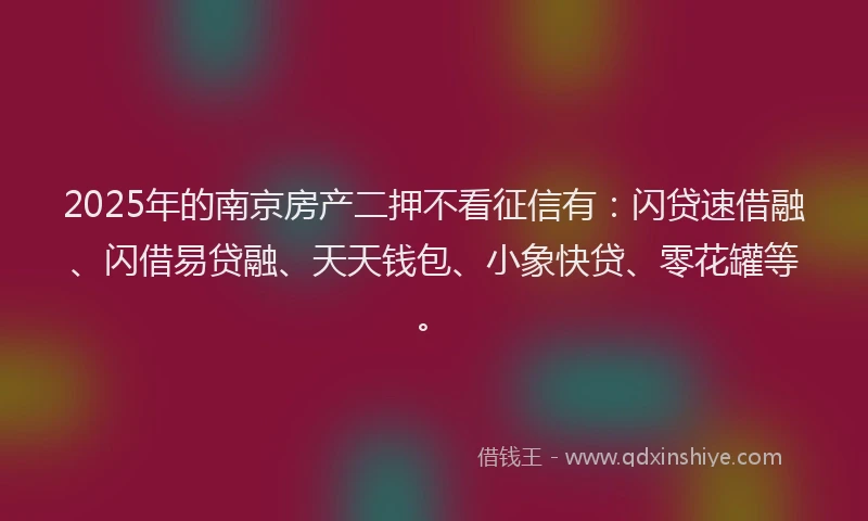 2025年的南京房产二押不看征信有：闪贷速借融、闪借易贷融、天天钱包、小象快贷、零花罐等。