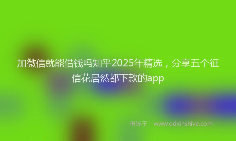 加微信就能借钱吗知乎2025年精选，分享五个征信花居然都下款的app