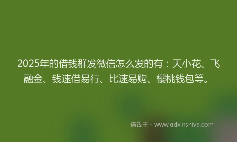 2025年的借钱群发微信怎么发的有：天小花、飞融金、钱速借易行、比速易购、樱桃钱包等。