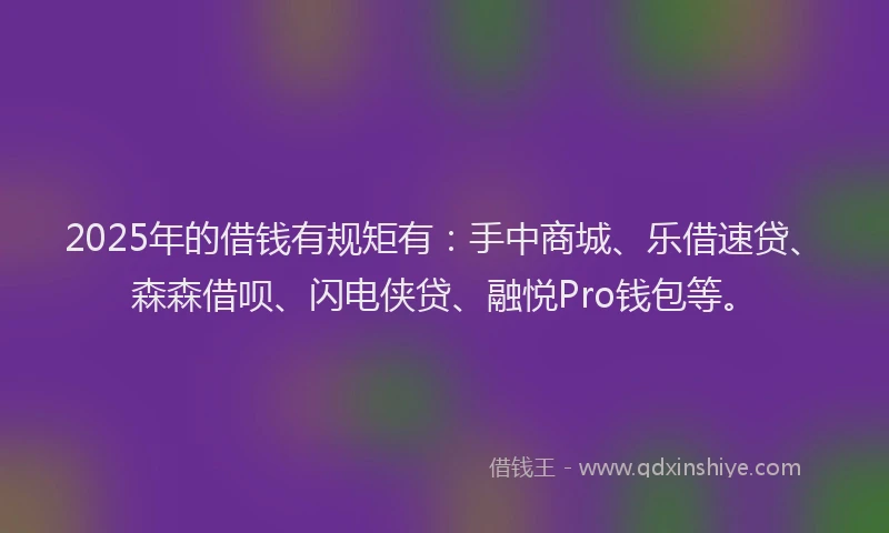 2025年的借钱有规矩有：手中商城、乐借速贷、森森借呗、闪电侠贷、融悦Pro钱包等。
