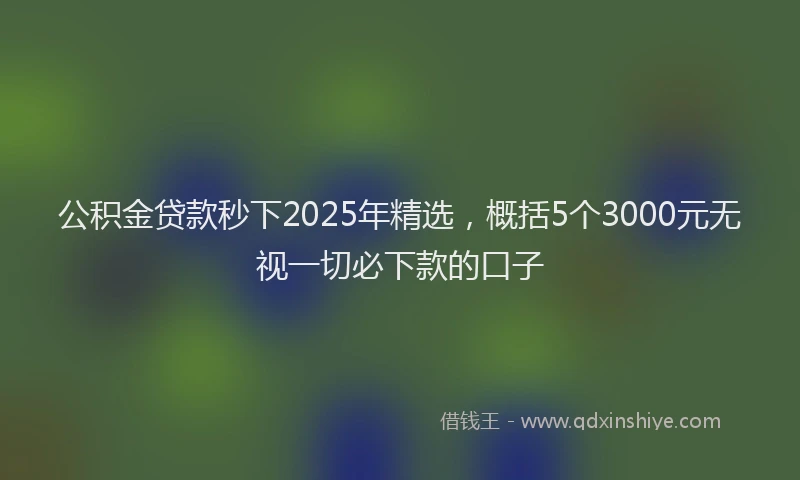公积金贷款秒下2025年精选，概括5个3000元无视一切必下款的口子