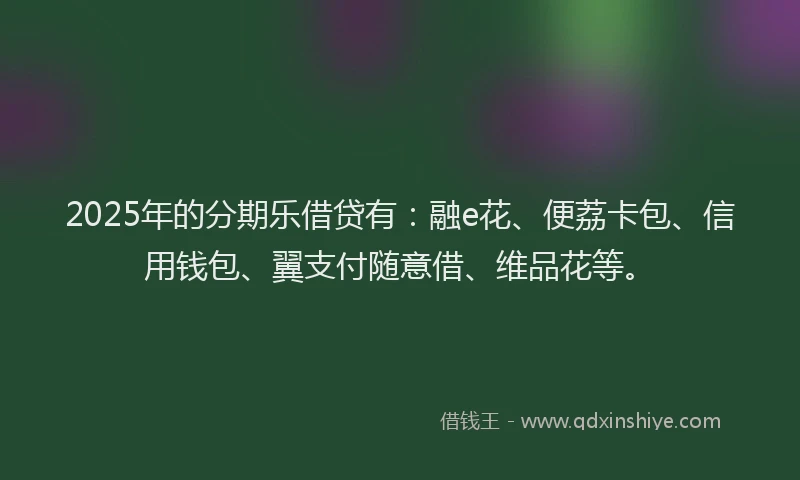 2025年的分期乐借贷有：融e花、便荔卡包、信用钱包、翼支付随意借、维品花等。