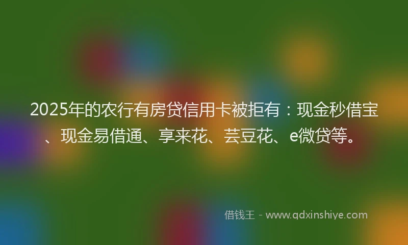 2025年的农行有房贷信用卡被拒有：现金秒借宝、现金易借通、享来花、芸豆花、e微贷等。