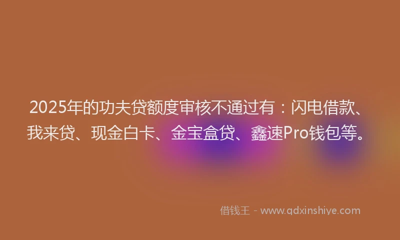 2025年的功夫贷额度审核不通过有：闪电借款、我来贷、现金白卡、金宝盒贷、鑫速Pro钱包等。