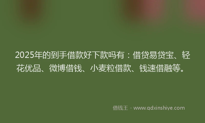 2025年的到手借款好下款吗有：借贷易贷宝、轻花优品、微博借钱、小麦粒借款、钱速借融等。