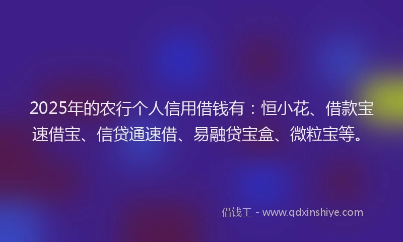 2025年的农行个人信用借钱有：恒小花、借款宝速借宝、信贷通速借、易融贷宝盒、微粒宝等。